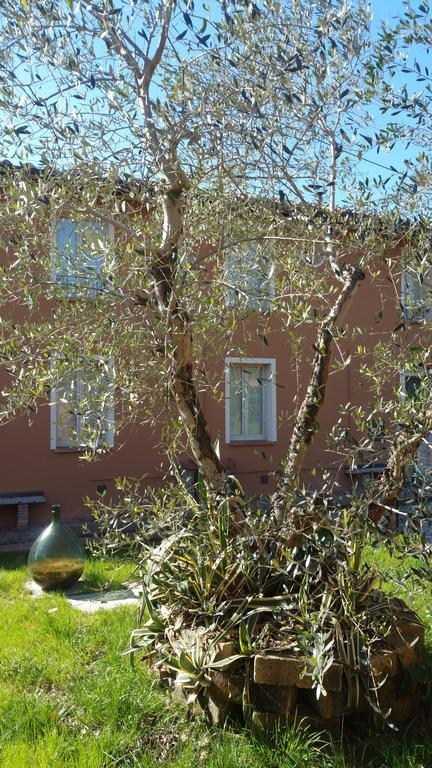 فيلا Ulivo Della Querce Querce  المظهر الخارجي الصورة